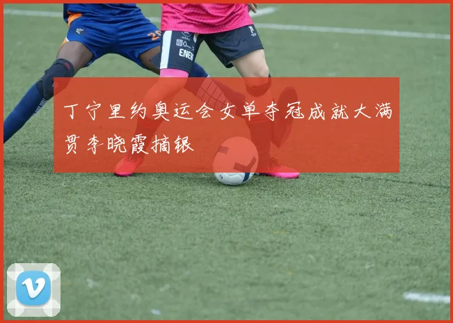 丁宁里约奥运会女单夺冠成就大满贯李晓霞摘银