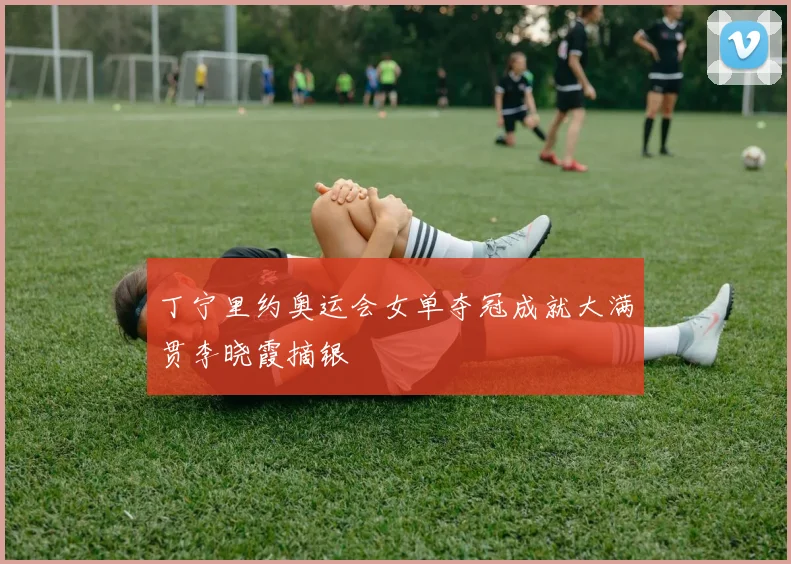 丁宁里约奥运会女单夺冠成就大满贯李晓霞摘银