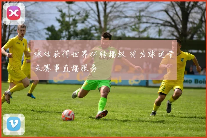 咪咕获得世界杯转播权 将为球迷带来赛事直播服务