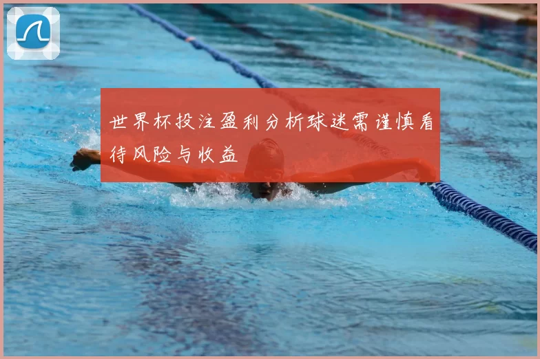 世界杯投注盈利分析球迷需谨慎看待风险与收益