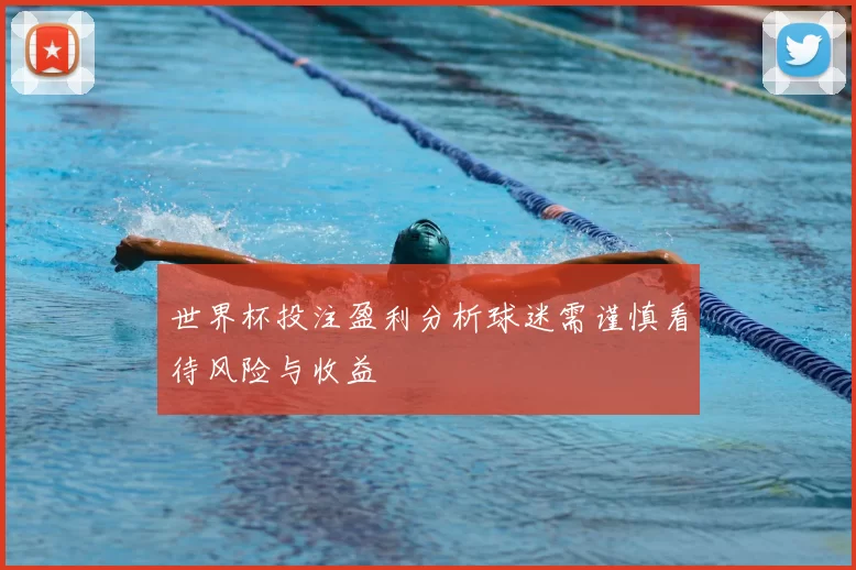 世界杯投注盈利分析球迷需谨慎看待风险与收益