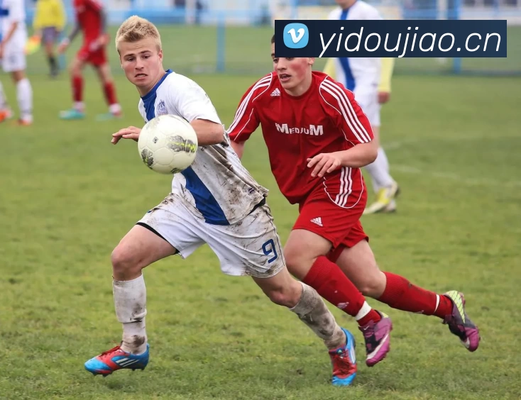 8868体育平台生态图